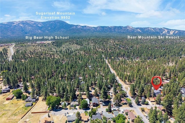 737 E Mountain View Blvd, Big Bear City, CA 92314 - photo 9