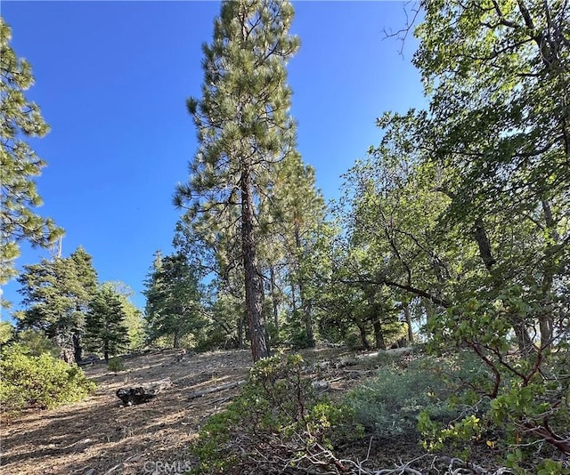 41089 Maryland Rd, Big Bear Lake, CA 92315 - photo 10