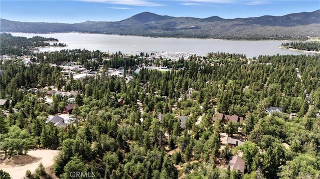 41089 Maryland Rd, Big Bear Lake, CA 92315 - photo 1