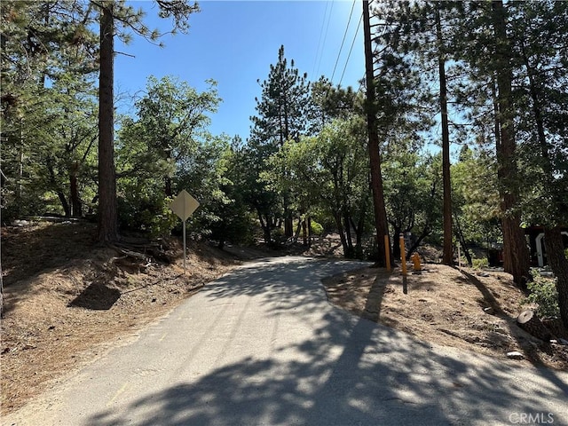 41089 Maryland Rd, Big Bear Lake, CA 92315 - photo 3