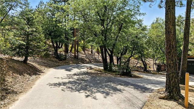 41089 Maryland Rd, Big Bear Lake, CA 92315 - photo 5