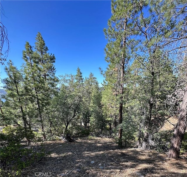 41089 Maryland Rd, Big Bear Lake, CA 92315 - photo 8