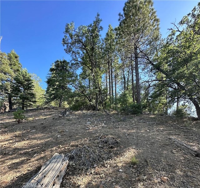41089 Maryland Rd, Big Bear Lake, CA 92315 - photo 11