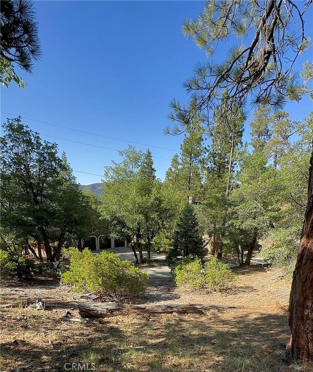 41089 Maryland Rd, Big Bear Lake, CA 92315 - photo 9