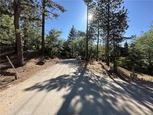 41089 Maryland Rd, Big Bear Lake, CA 92315 - photo 2