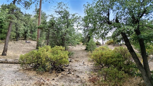 41089 Maryland Rd, Big Bear Lake, CA 92315 - photo 7