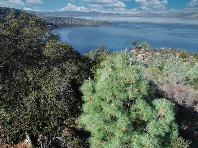 3279 Westridge Dr, Kelseyville, CA 95451 - photo 3