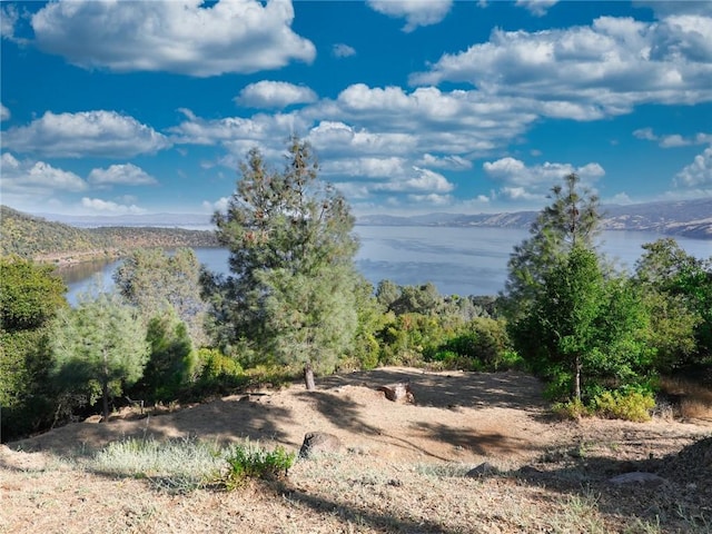 3279 Westridge Dr, Kelseyville, CA 95451 - photo 10