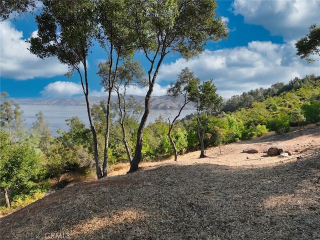 3279 Westridge Dr, Kelseyville, CA 95451 - photo 11