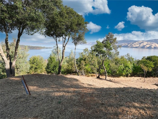 3279 Westridge Dr, Kelseyville, CA 95451 - photo 9