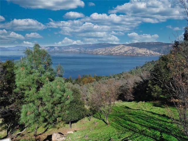 3279 Westridge Dr, Kelseyville, CA 95451 - photo 1