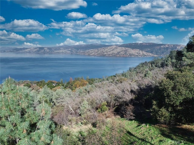 3279 Westridge Dr, Kelseyville, CA 95451 - photo 2