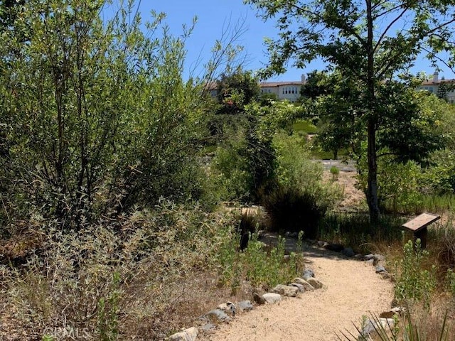 6 Cherokee St, Trabuco Canyon, CA 92679 - photo 44