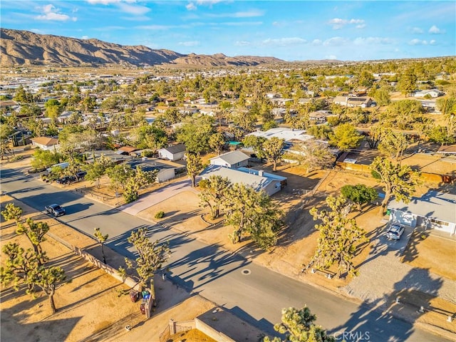 7667 Jemez Trl, Yucca Valley, CA 92284 - photo 37