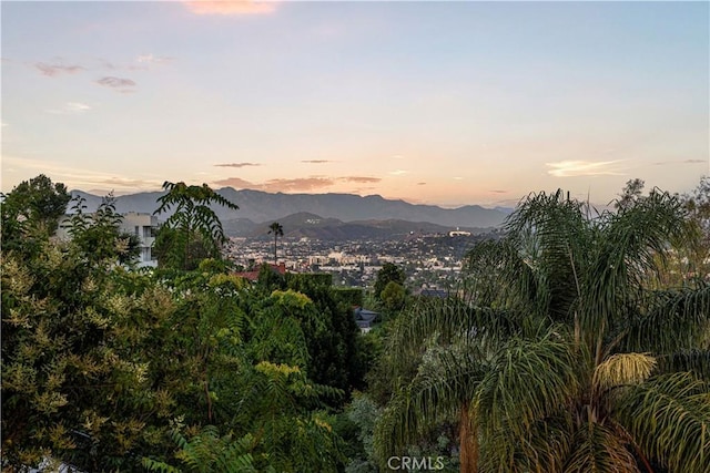 3916 Carnavon Way, Los Angeles, CA 90027 - photo 34