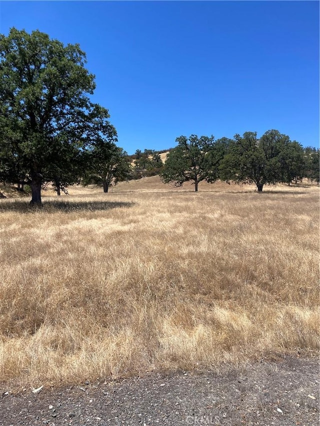 0 Ruby King Rd, Stonyford, CA 95979 - photo 1