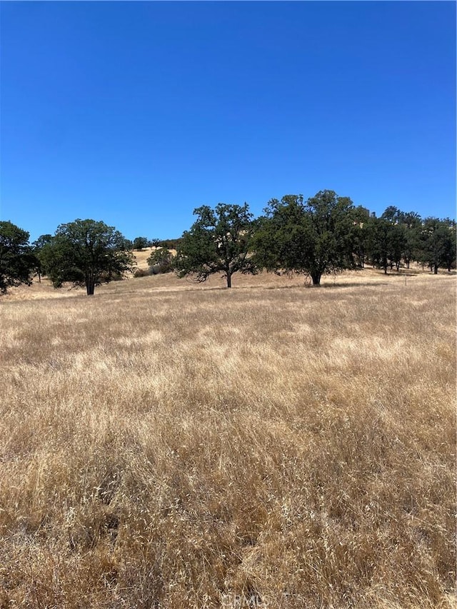 0 Ruby King Rd, Stonyford, CA 95979 - photo 2