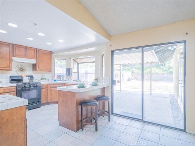 56 Sundance Dr, Phillips Ranch, CA 91766 - photo 11