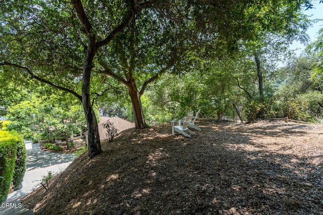 423 Devonshire Ln, Glendale, CA 91206 - photo 50