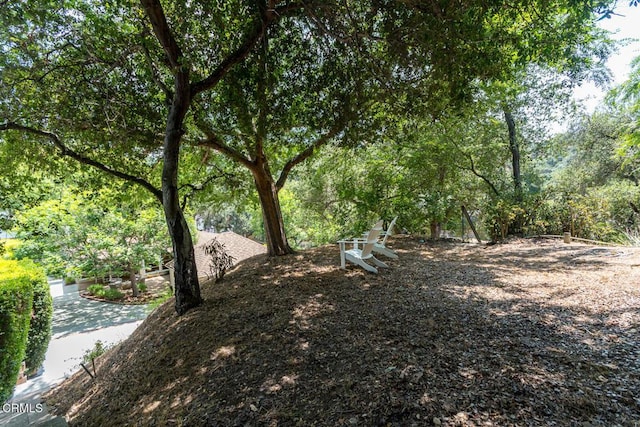 423 Devonshire Ln, Glendale, CA 91206 - photo 49