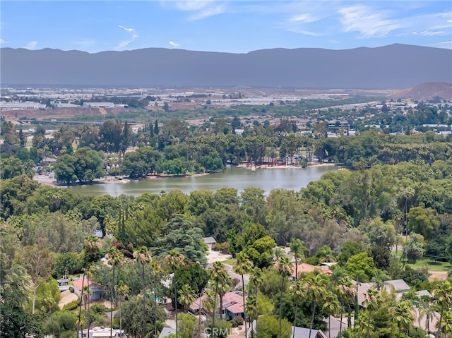 4536 Indian Hill Rd, Riverside, CA 92501 - photo 68