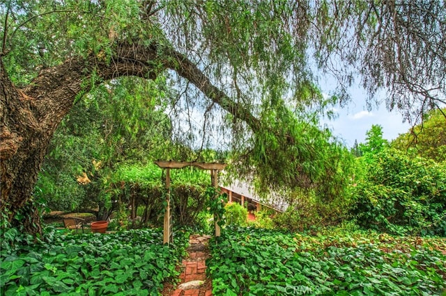 2314 Country Club Vista St, Glendora, CA 91741 - photo 51