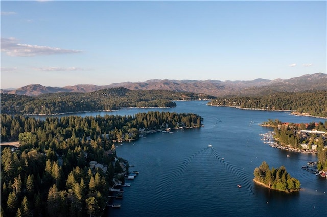 161 Rocky Point Rd, Lake Arrowhead, CA 92352 - photo 37