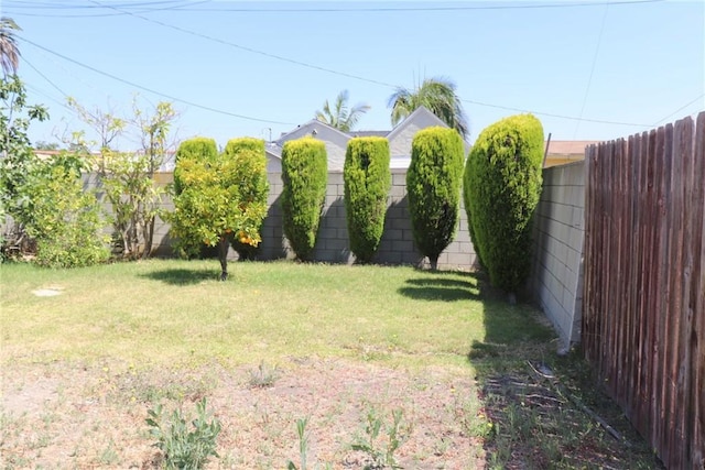2407 W 74th St, Los Angeles, CA 90043 - photo 10