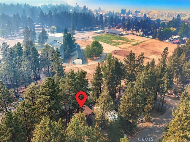 710 Marin Rd, Big Bear Lake, CA 92315 - photo 46