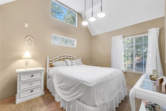 710 Marin Rd, Big Bear Lake, CA 92315 - photo 14