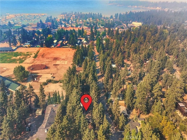710 Marin Rd, Big Bear Lake, CA 92315 - photo 47