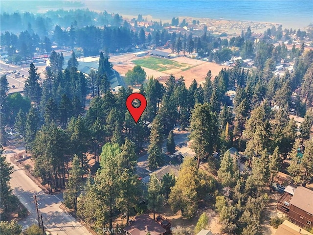 710 Marin Rd, Big Bear Lake, CA 92315 - photo 45
