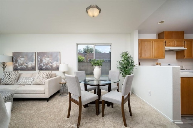 555 E Afton Ln, Anaheim, CA 92805 - photo 12