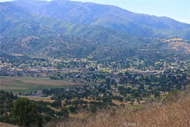 27500 Buckpasser Dr, Tehachapi, CA 93561 - photo 54