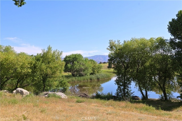 27500 Buckpasser Dr, Tehachapi, CA 93561 - photo 49