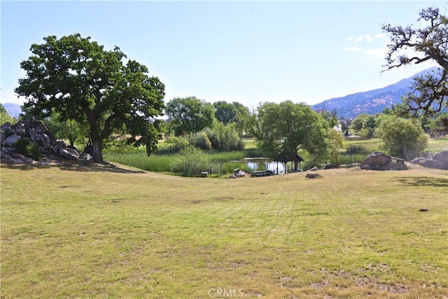 27500 Buckpasser Dr, Tehachapi, CA 93561 - photo 50