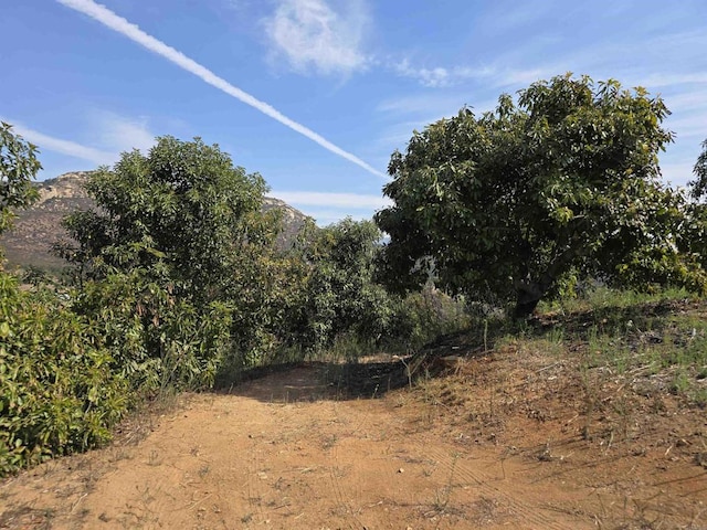 0 Courser Canyon Rd, Valley Center, CA 92082 - photo 17