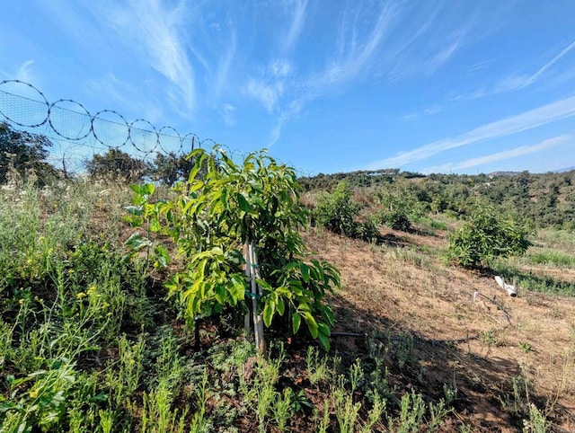 0 Courser Canyon Rd, Valley Center, CA 92082 - photo 20