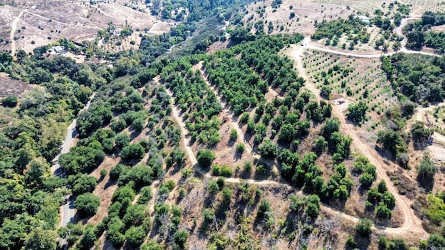 0 Courser Canyon Rd, Valley Center, CA 92082 - photo 31