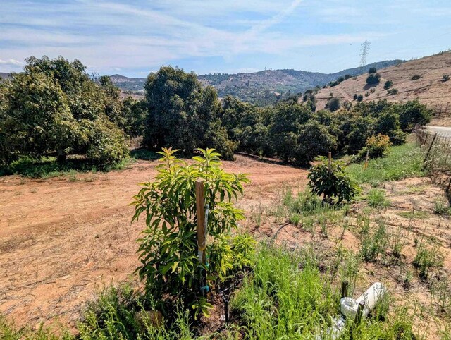 0 Courser Canyon Rd, Valley Center, CA 92082 - photo 22