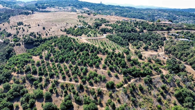 0 Courser Canyon Rd, Valley Center, CA 92082 - photo 2