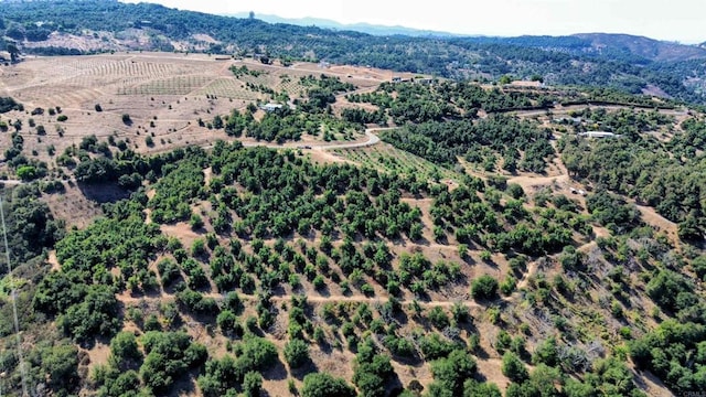 0 Courser Canyon Rd, Valley Center, CA 92082 - photo 30