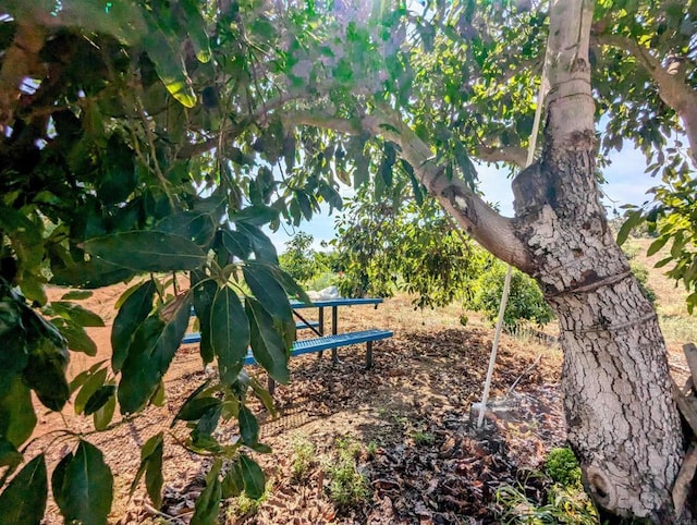 0 Courser Canyon Rd, Valley Center, CA 92082 - photo 28