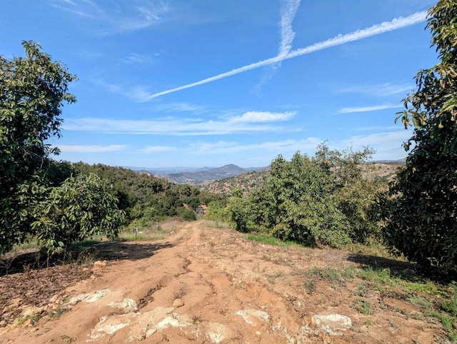 0 Courser Canyon Rd, Valley Center, CA 92082 - photo 16