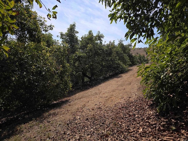 0 Courser Canyon Rd, Valley Center, CA 92082 - photo 7