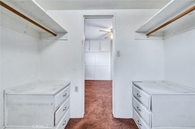 9649 Cloverwood St, Bellflower, CA 90706 - photo 47