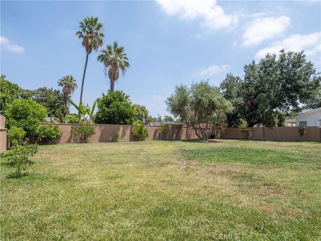 1610 Mayflower Ave, Arcadia, CA 91006 - photo 46
