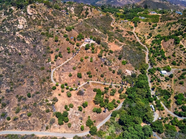 9202 Moon Ridge Rd, Fallbrook, CA 92028 - photo 37