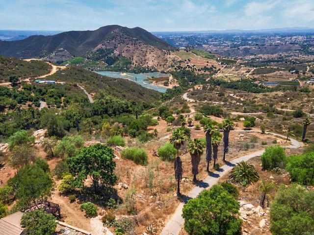 9202 Moon Ridge Rd, Fallbrook, CA 92028 - photo 35