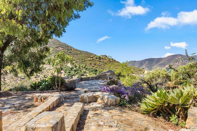 9202 Moon Ridge Rd, Fallbrook, CA 92028 - photo 31